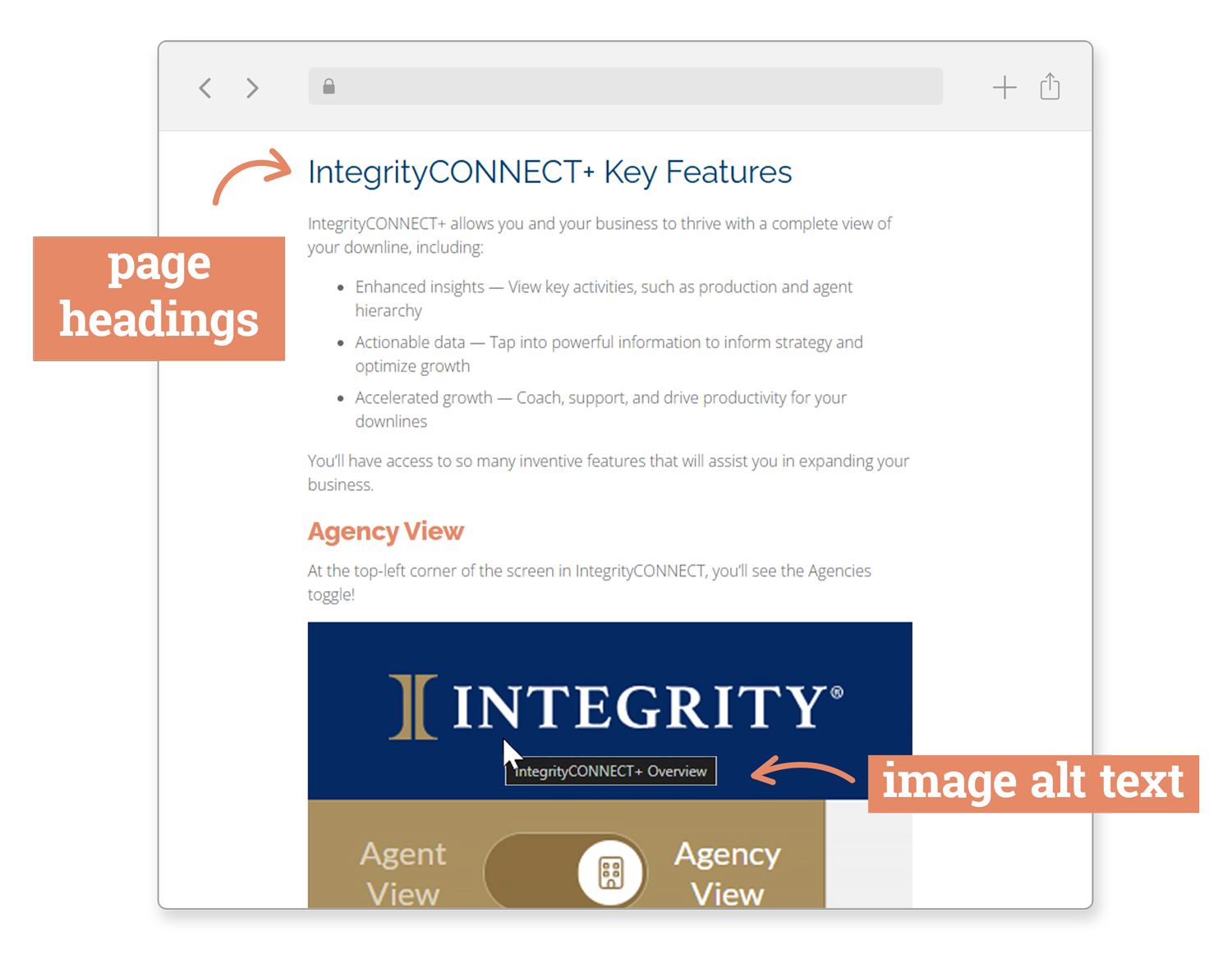 SEO Keywords Screenshot SEO Keywords Screenshot
